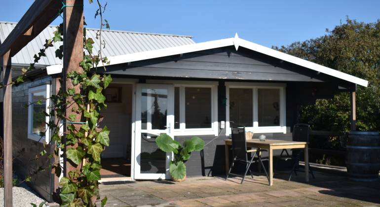 Kindercoachpraktijk Groen